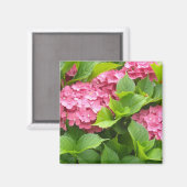 Diep Roze Hortensia's Magneet (Voorkant / Achterkant)