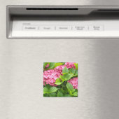 Diep Roze Hortensia's Magneet (Insitu (Vaatwasser))