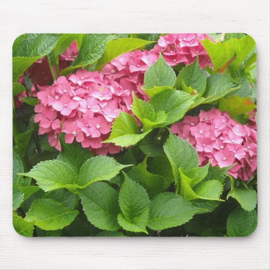 Diep Roze Hortensia's Muismat (Voorkant)
