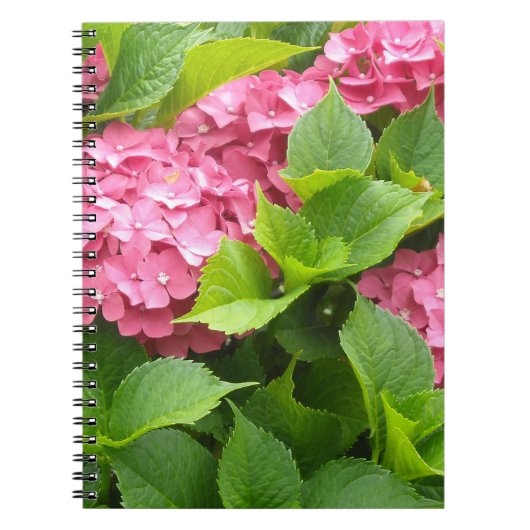 Diep Roze Hortensia's Notitieboek (Voorkant)