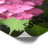 Diep Roze Hortensia's Poster (Hoek)