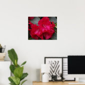 Diep Roze Rhododendron Bloei Bloem Fotografisch Poster (Thuiskantoor)