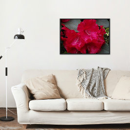 Diep roze rododendron bloeit bloemig perfect poster