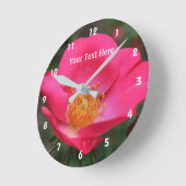 Diep Roze Roos In Bloei Bloem Ronde Klok (Hoek)