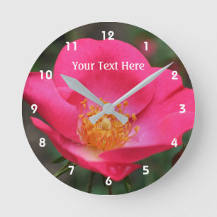 Diep Roze Roos In Bloei Bloem Ronde Klok