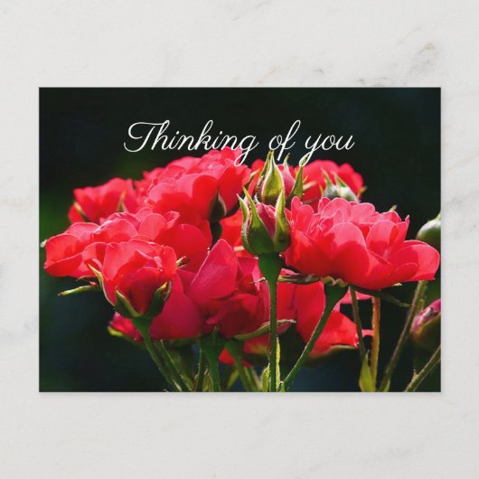 Diep roze rozen, "denken aan jou" briefkaart (Voorkant)