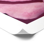 Diep Roze Rozen Poster (Hoek)