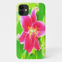  Diep Roze Stargazer Lily op Lime Green