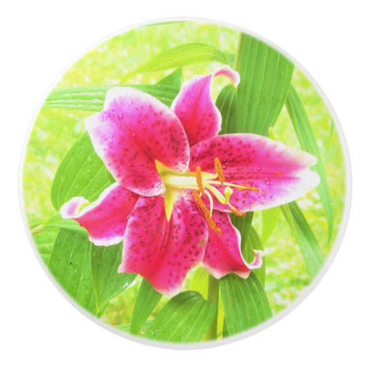  Diep Roze Stargazer Lily op Lime Green Keramische Knop (Voorkant)