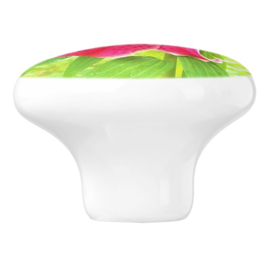  Diep Roze Stargazer Lily op Lime Green Keramische Knop (Zijkant)