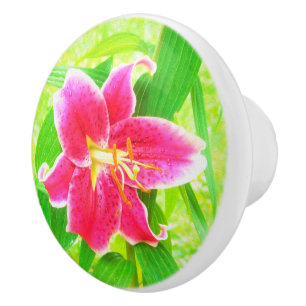 Diep Roze Stargazer Lily op Lime Green Keramische Knop
