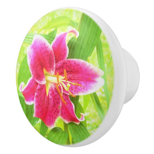  Diep Roze Stargazer Lily op Lime Green Keramische Knop (Rechts)