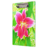  Diep Roze Stargazer Lily op Lime Green Klembord (Links)