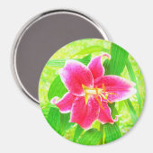 Diep Roze Stargazer Lily op Lime Green Magneet (Voorkant / Achterkant)