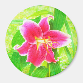  Diep Roze Stargazer Lily op Lime Green Magneet
