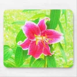  Diep Roze Stargazer Lily op Lime Green Muismat