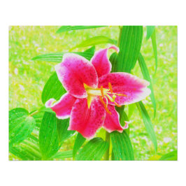  Diep Roze Stargazer Lily op Lime Green Perfect Poster