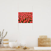 Diep roze tulpen poster (Keuken)