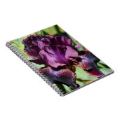 Diep Violette Iris Bloei Bloem Notitieboek (Rechterzijde)