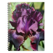 Diep Violette Iris Bloei Bloem Notitieboek (Voorkant)