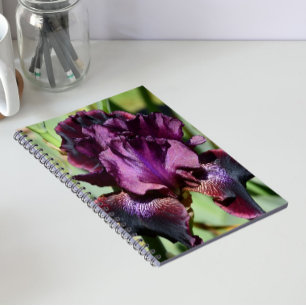 Diep Violette Iris Bloei Bloem Notitieboek