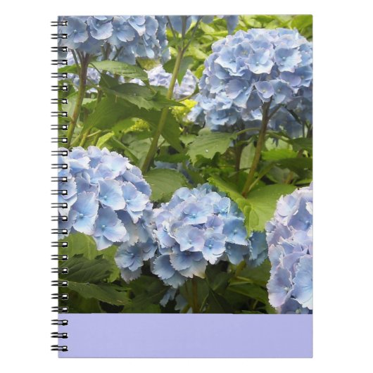 Diepblauwe Hortensia's Notitieboek (Voorkant)