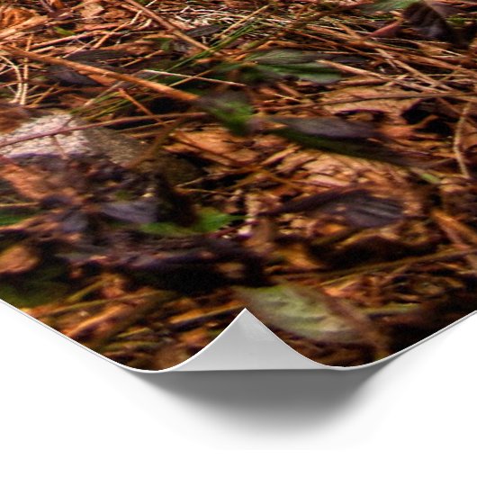 Diepe Bossen Pitstop Poster (Hoek)