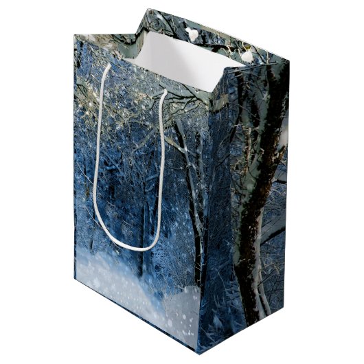 Diepe Bossen Winter Wonderland Magical Gift Bag Medium Cadeauzakje (Voorkant Gekanteld)