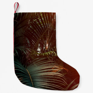 Diepe donkergroene palmbladeren met een helder of kleine kerstsok
