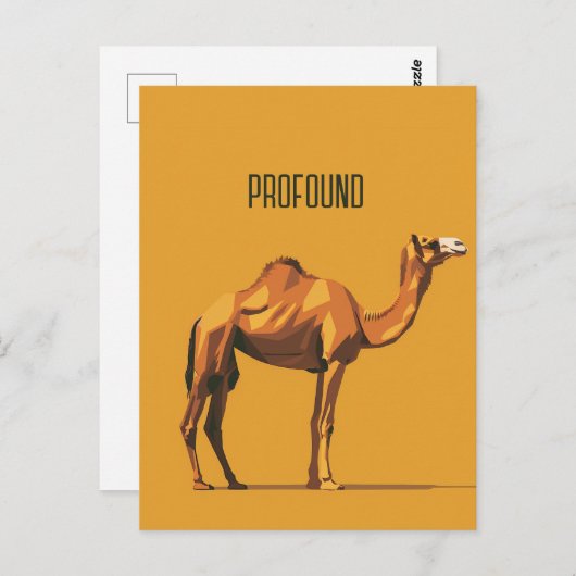diepe kameel briefkaart (Voorkant / Achterkant)