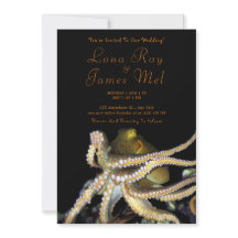 Diepe Ocean Octopus Beach Weddenschap