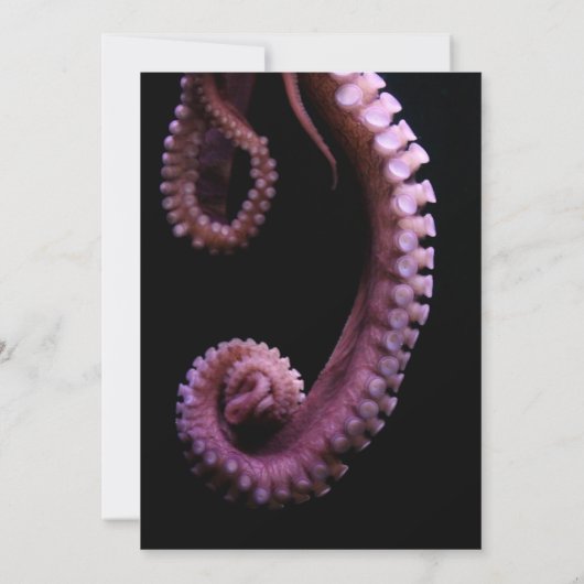 Diepe Ocean Octopus Beach Weddenschap Kaart (Achterkant)