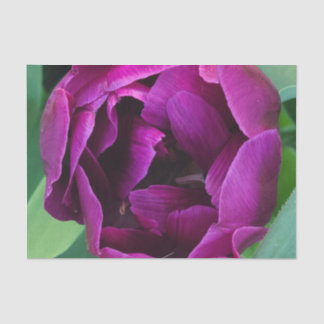 Diepe Paarse tulpenfoto Tissuepapier