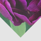 Diepe Paarse tulpenfoto Tissuepapier (Detail)