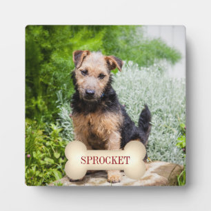 Diepe rode tekst op bot met foto van Pet Fotoplaat