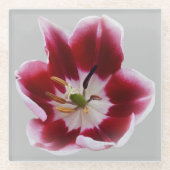 Diepe rode tulp glazen onderzetter (Voorkant)