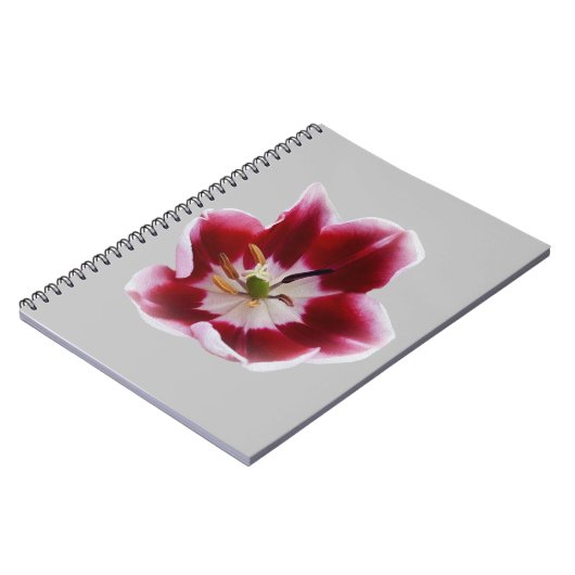 Diepe rode tulp notitieboek (Linkerzijde)