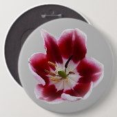 Diepe rode tulp ronde button 6,0 cm (Voorkant /achterkant)