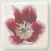 Diepe rode tulp stenen onderzetter (Voorkant)