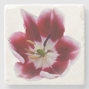 Diepe rode tulp stenen onderzetter