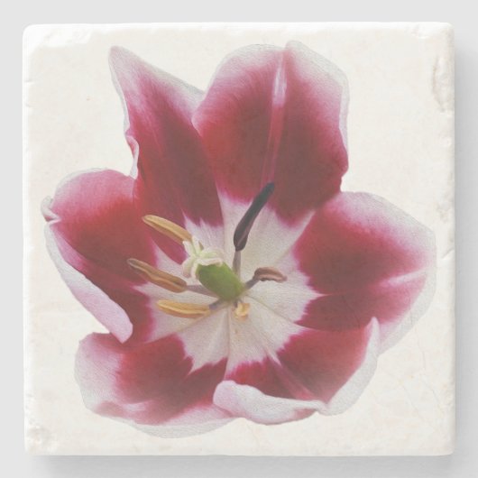 Diepe rode tulp stenen onderzetter (Voorkant)