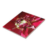 diepe rode vlek tegeltje (Zijkant)