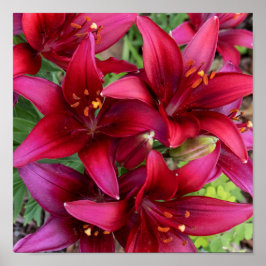 Diepe roden poster