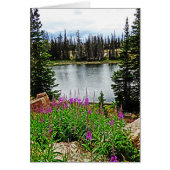 Diepe roze bloemen op het meer, blanco binnenin (Voorkant)