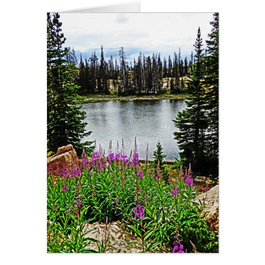 Diepe roze bloemen op het meer, blanco binnenin (Voorkant)