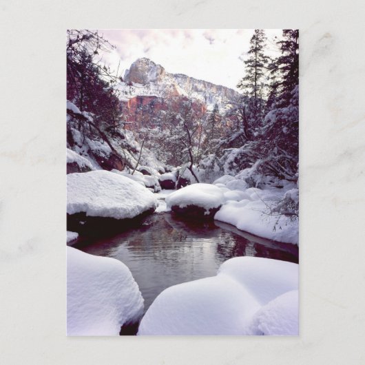 Diepe sneeuw bij Middle Emerald Pools Briefkaart (Voorkant)