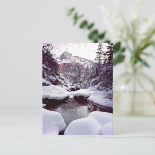 Diepe sneeuw in Middle Emerald Pools Briefkaart (Staand voorkant)
