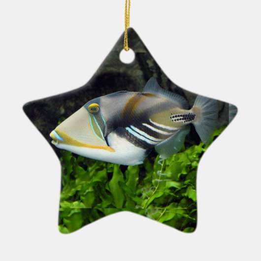Diepe zee keramisch ornament (Voorkant)