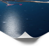 Diepe zee oceaan duiken foto foto afdruk (Hoek)