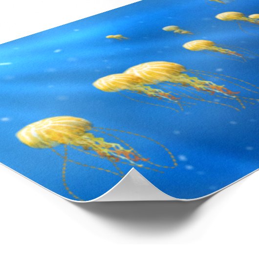 Diepe Zee Treasurers Poster (Hoek)